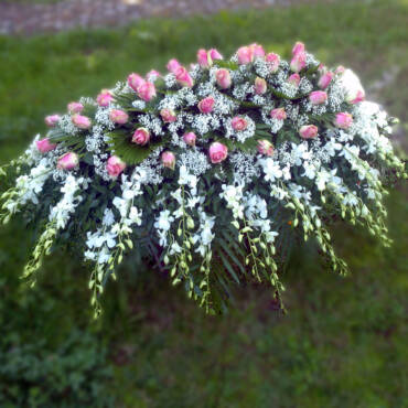 FIORI 6